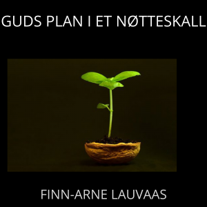 Guds plan i et nøtteskall