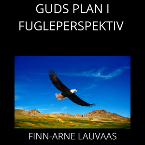 Guds plan i fugleperspektiv